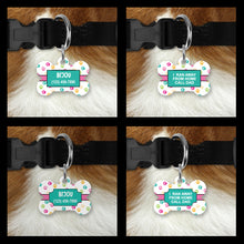 Load image into Gallery viewer, Pet ID Tags
